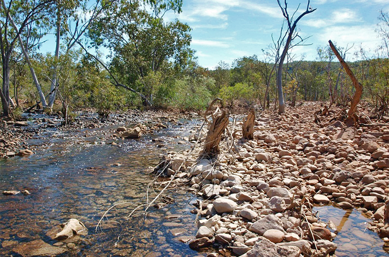 Confluence of 12 Mile Creek and Echo Creek, downstream of Redbank (2011) Confluence of 12 Mile Creek and Echo Creek, downstream of Redbank (2011)
