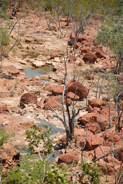 A section of Echo Creek showing dieback of vegetation. (October 2012) A section of Echo Creek showing dieback of vegetation. (October 2012)