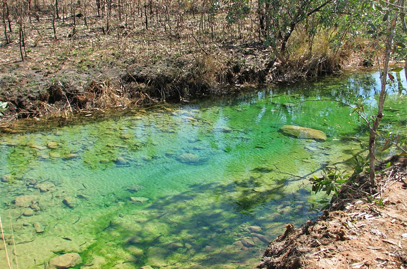 Precipitate on the stream bed in Hanrahan’s Creek (2011) Precipitate on the stream bed in Hanrahan’s Creek (2011)