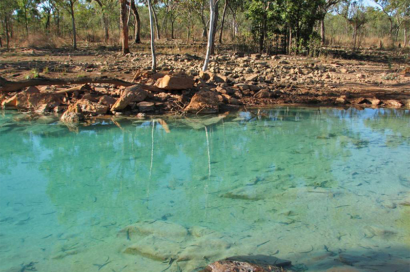 Precipitate in the base of Hanrahans Pool (2011) Precipitate in the base of Hanrahans Pool (2011)